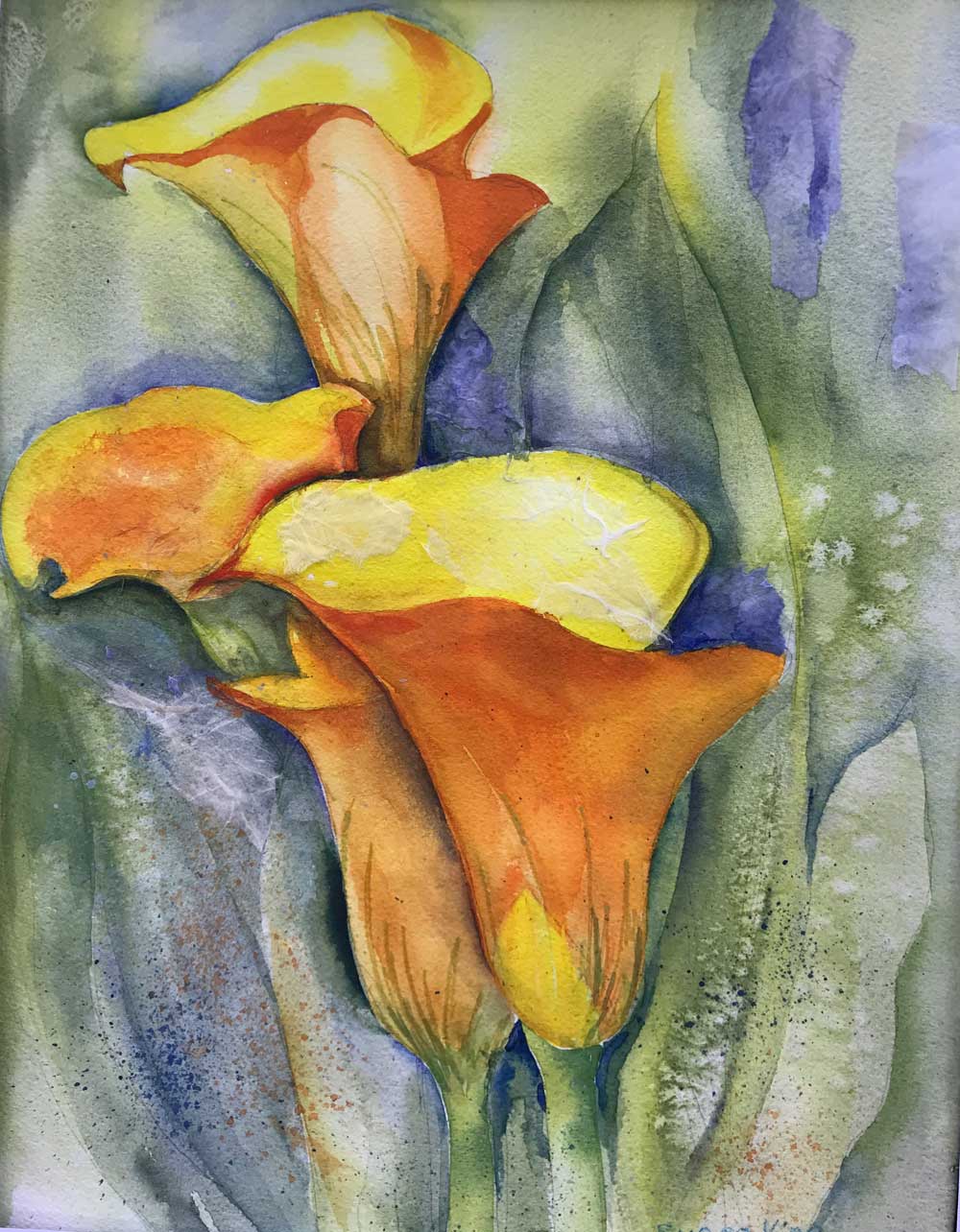 Watercolor of Calla Lilies by Sue King