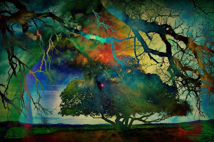 Digital painting of tree and sky