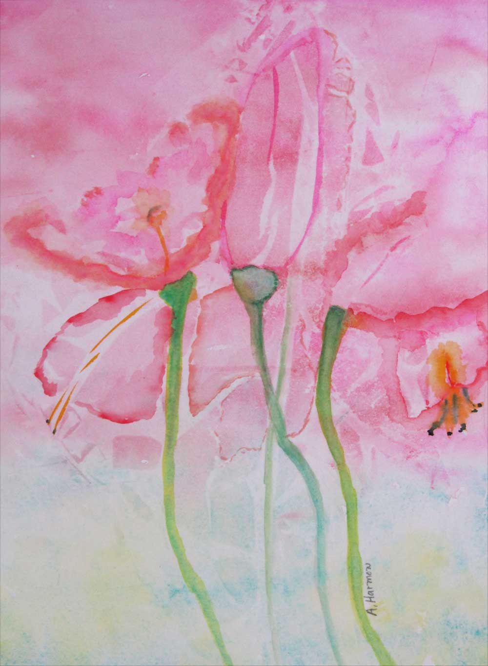 Watercolor painting of garden lilies