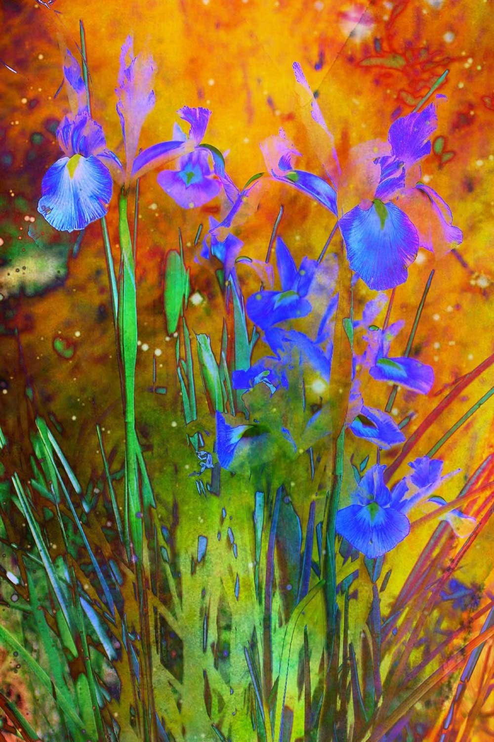 Digital painting of blue iris