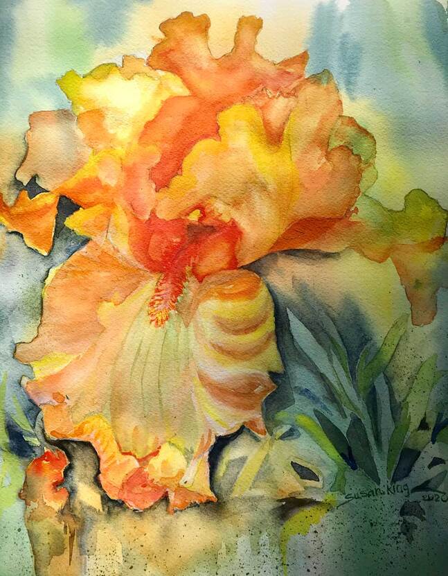Watercolor of orange and yellow iris